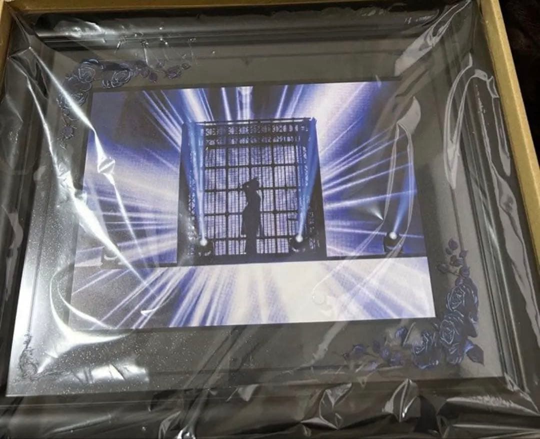 Ado オンラインくじ　ひみつ賞　額入りライブフォトパネル