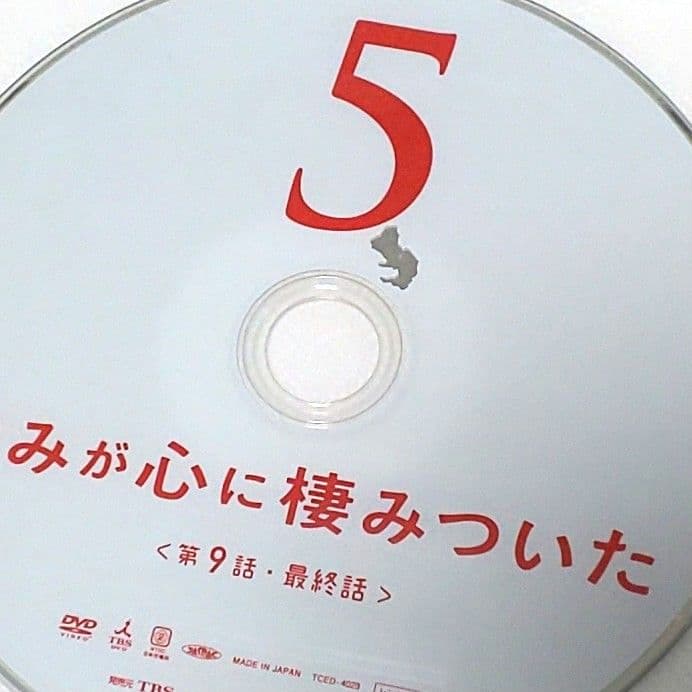 きみが心に棲みついた DVD 全巻 セット ドラマ 吉岡里帆 桐谷健太 向井理