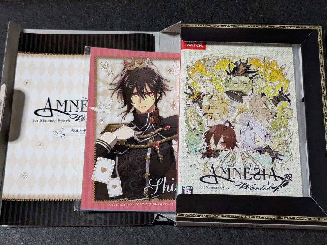 AMNESIA World for Nintendo Switch 限定版