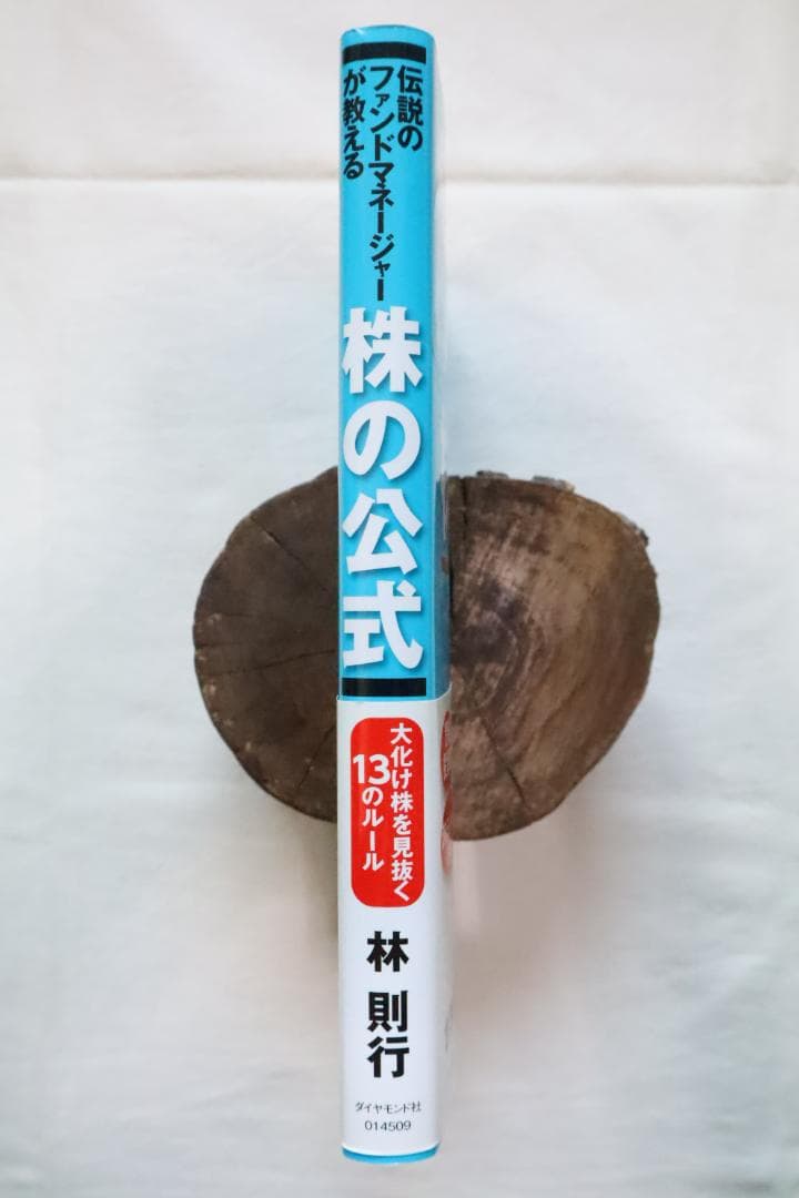 伝説のファンドマネージャーが教える 株の公式 林則行著