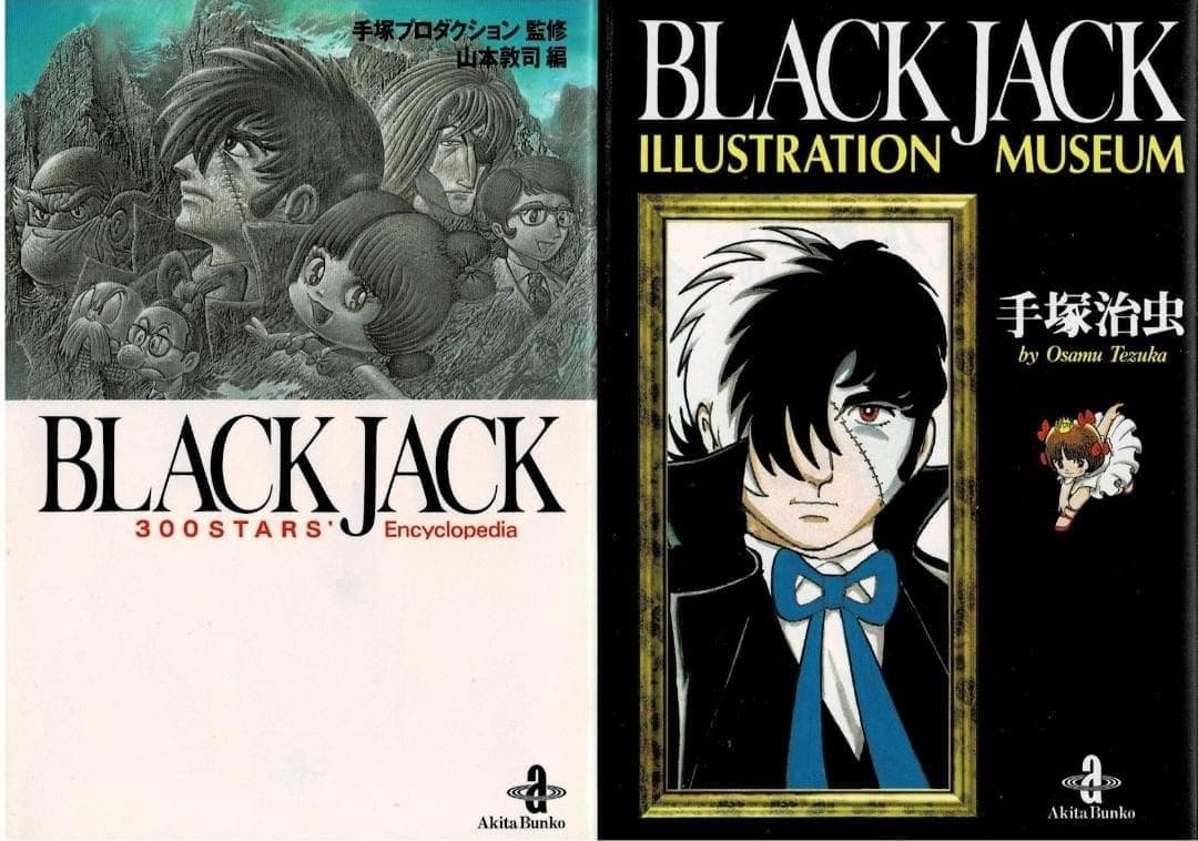 ■全29巻■文庫版■『ブラックジャック』全17巻+BJ関連本12冊■手塚治虫■