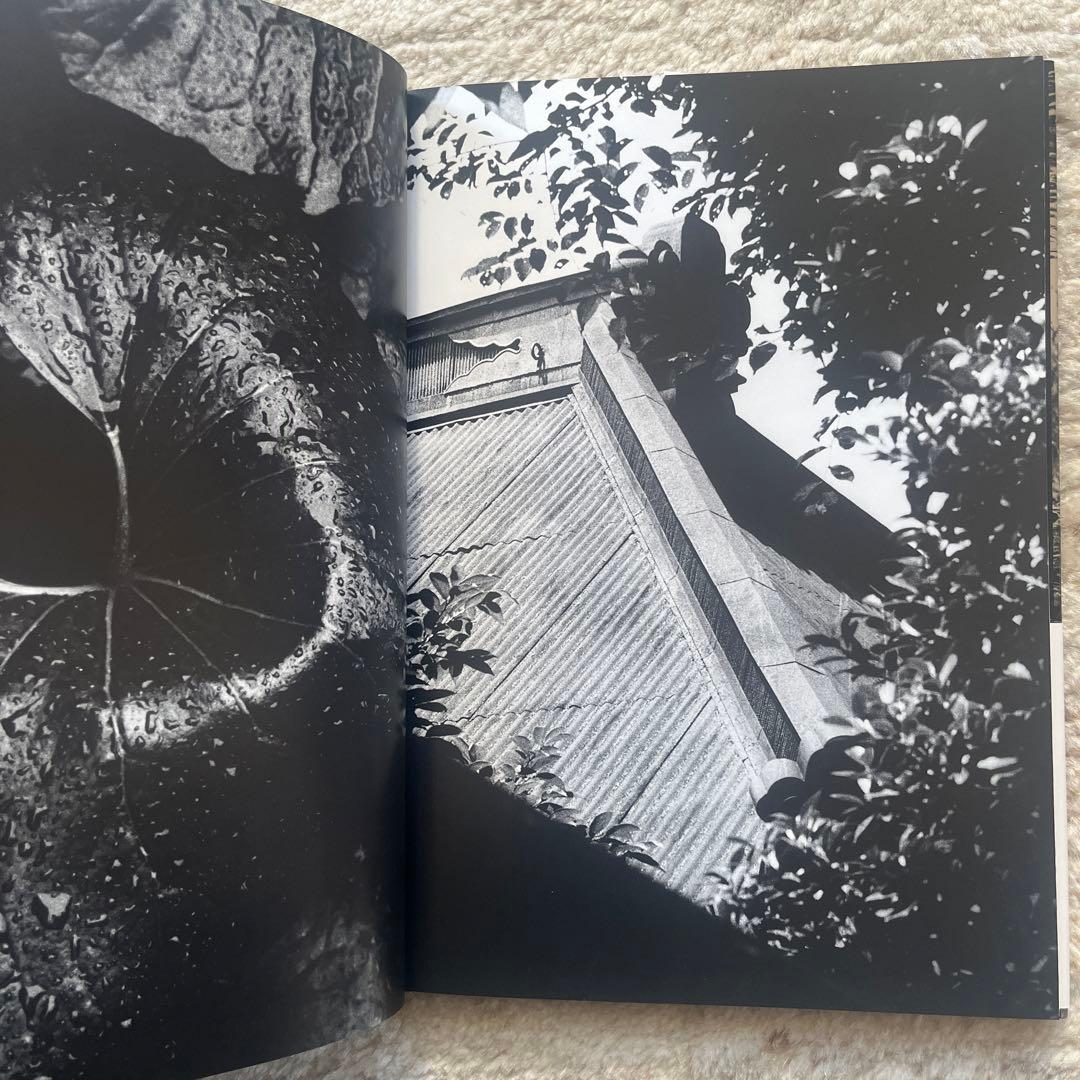 中平卓馬　写真集