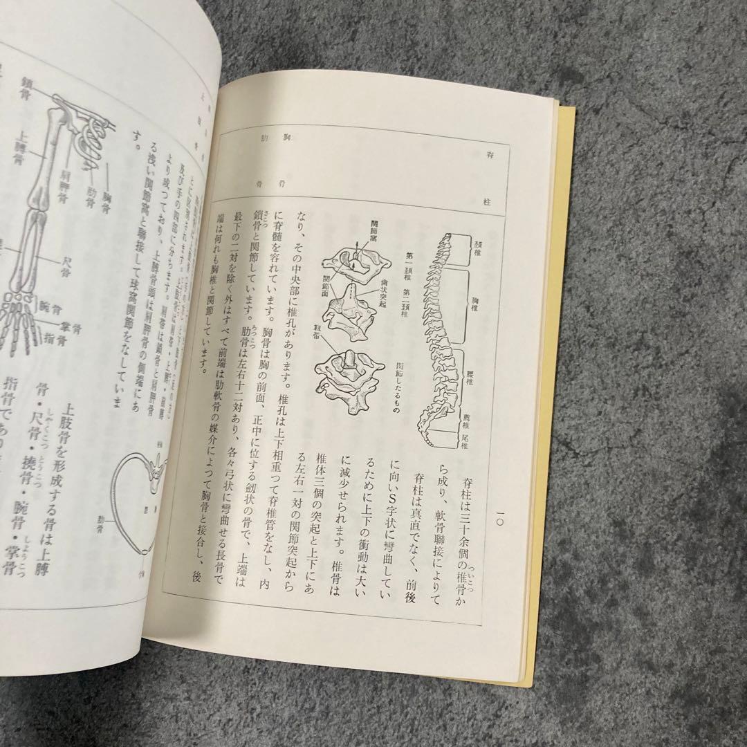 【古書】皇法医学家庭整骨法 治療医療伝統医学気功理学東洋医学中医鍼灸呪術呪い整体