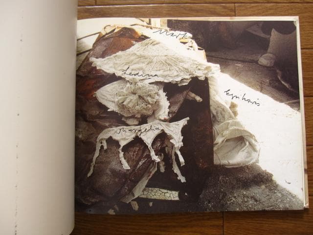 アート・デザイン・音楽 Bernard Comment Anselm Kiefer