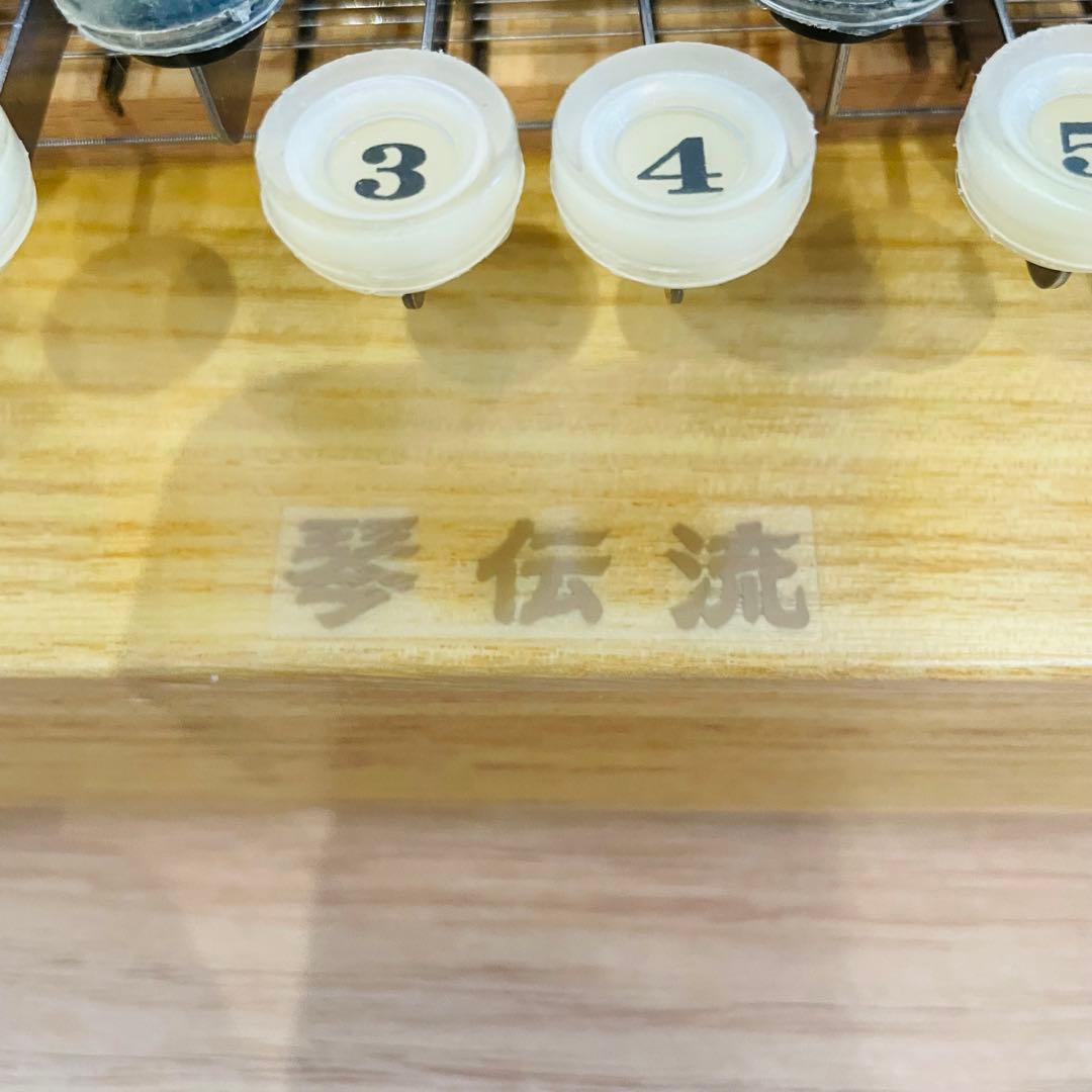 琴伝流 大正琴 銀河 ハードケース付き 琴