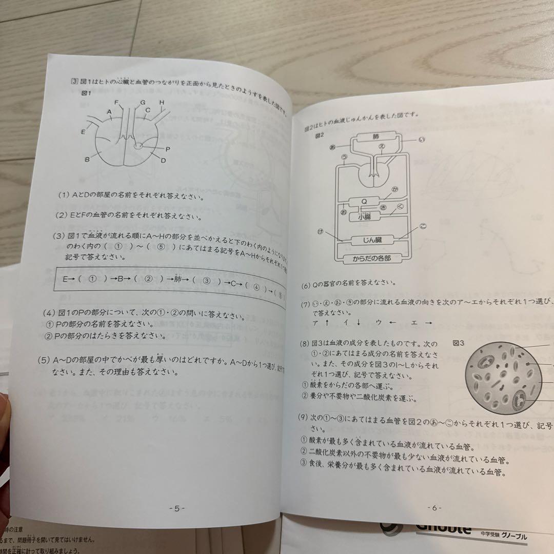 グノレブ5年GnoRev 実力確認テスト 1年分　10冊セット