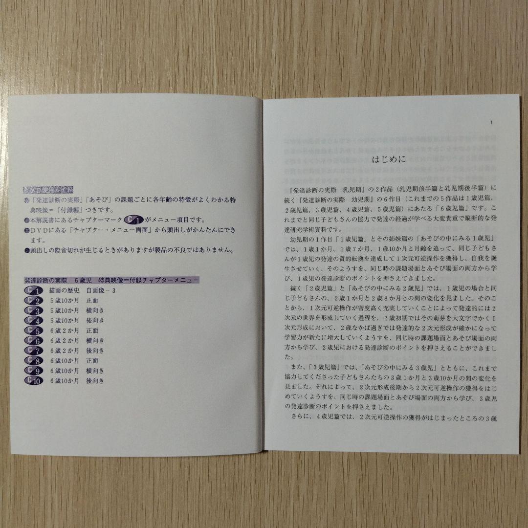 【希少】『DVD版 発達診断の実際』第8巻 6歳児 田中昌人 田中杉恵 大月書店