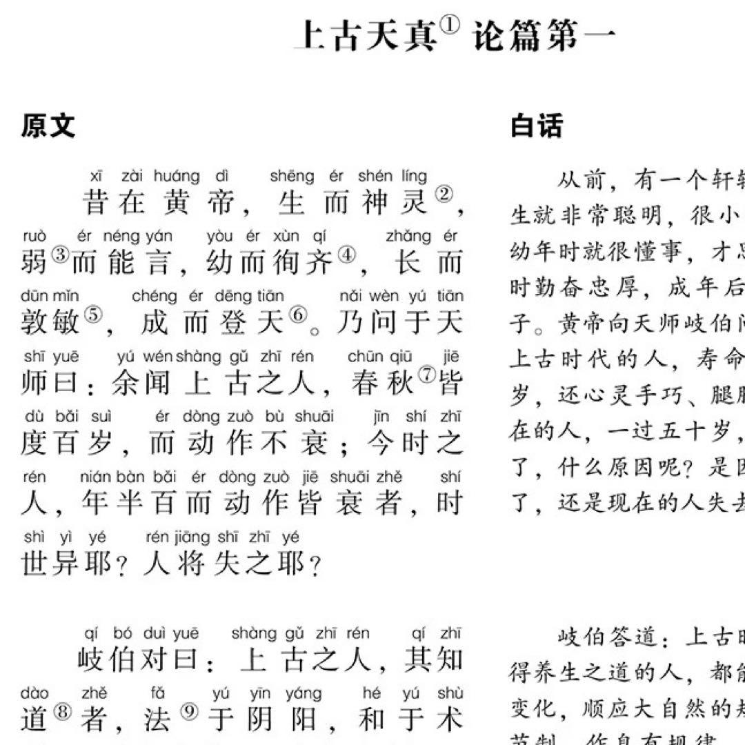 黄帝内経　黄帝内经 灵枢+素问　二冊　注音版　ピンイン付き　中国語