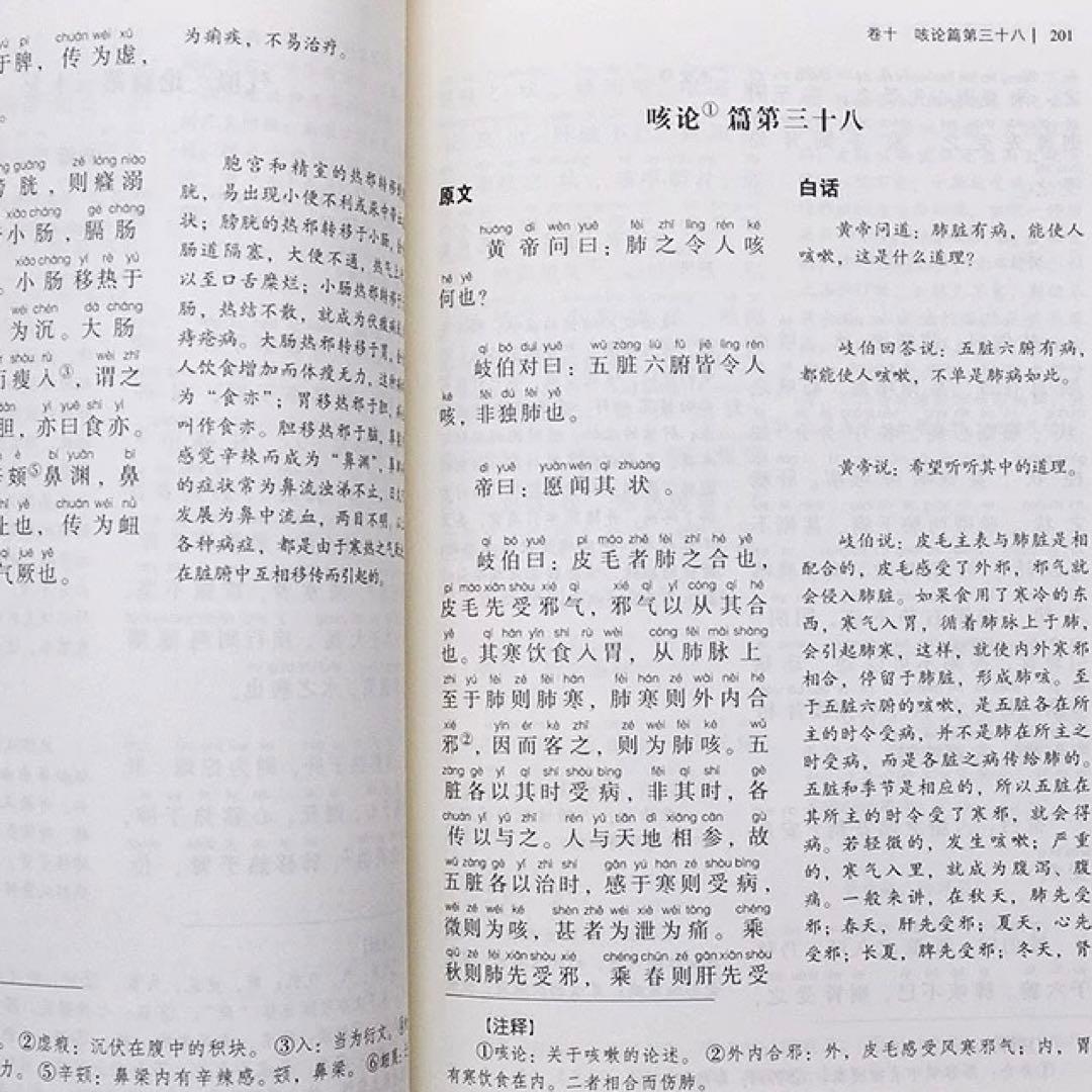 黄帝内経　黄帝内经 灵枢+素问　二冊　注音版　ピンイン付き　中国語