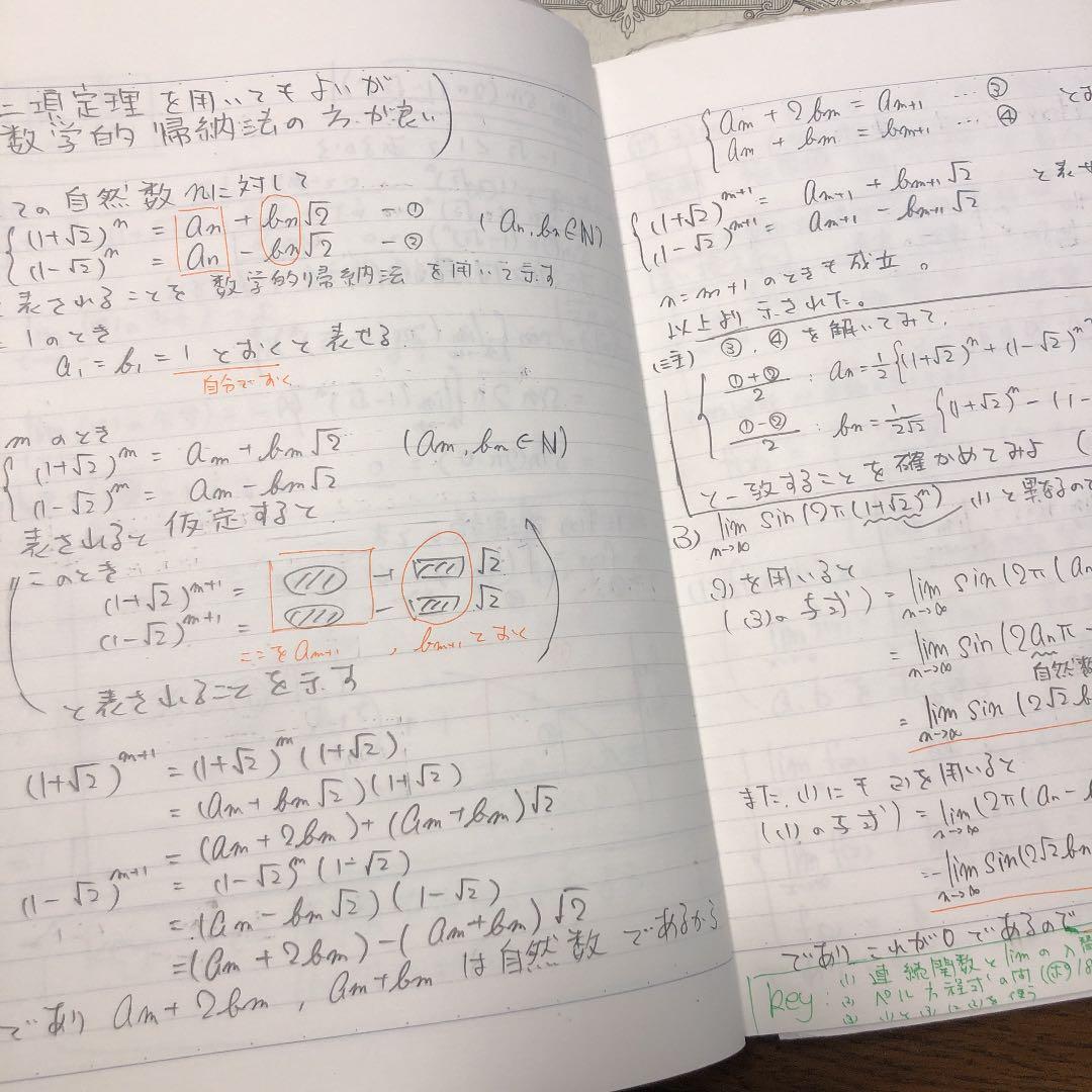 駿台 高卒コース数学 通期テキスト＋直前・速攻！有機化学