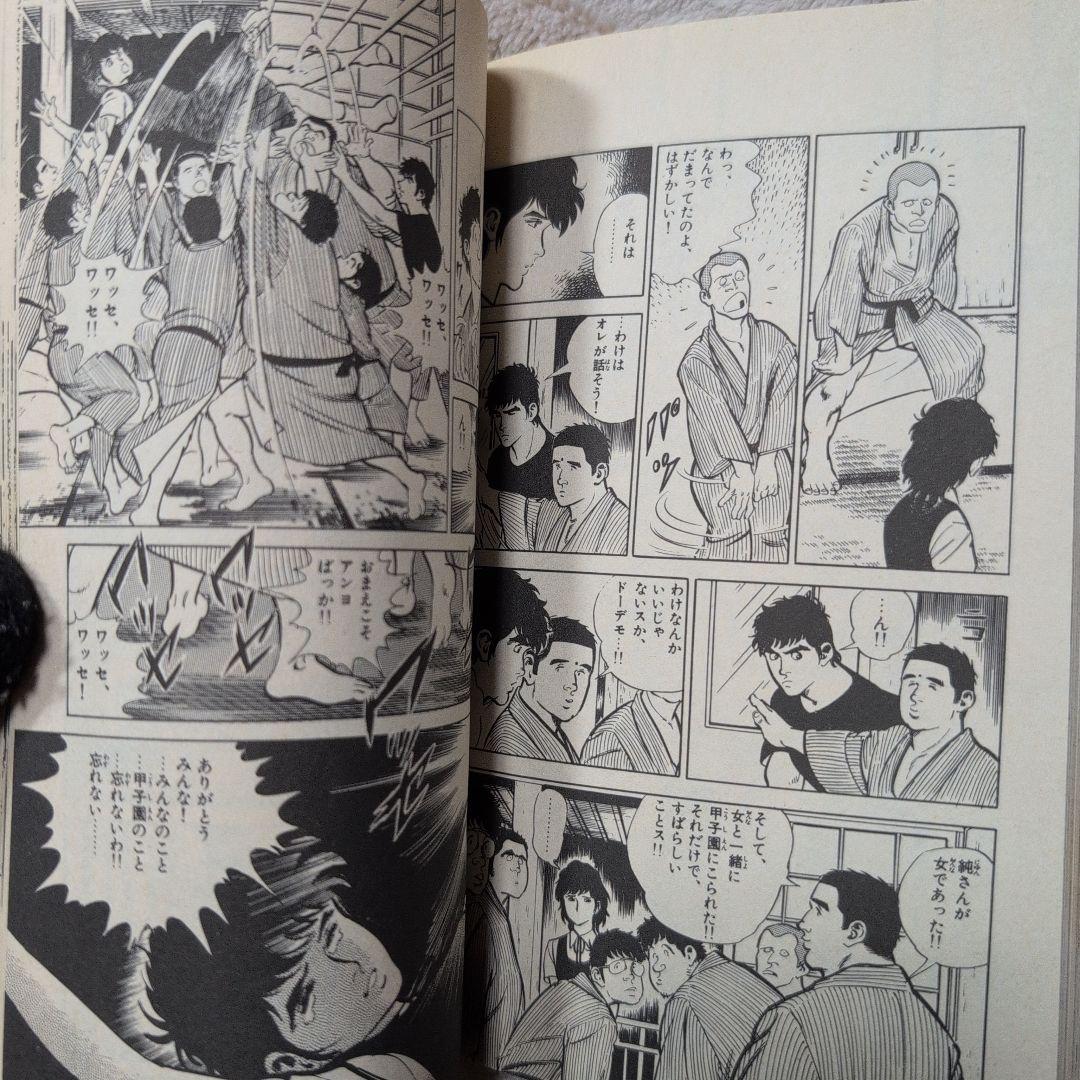 番外甲子園