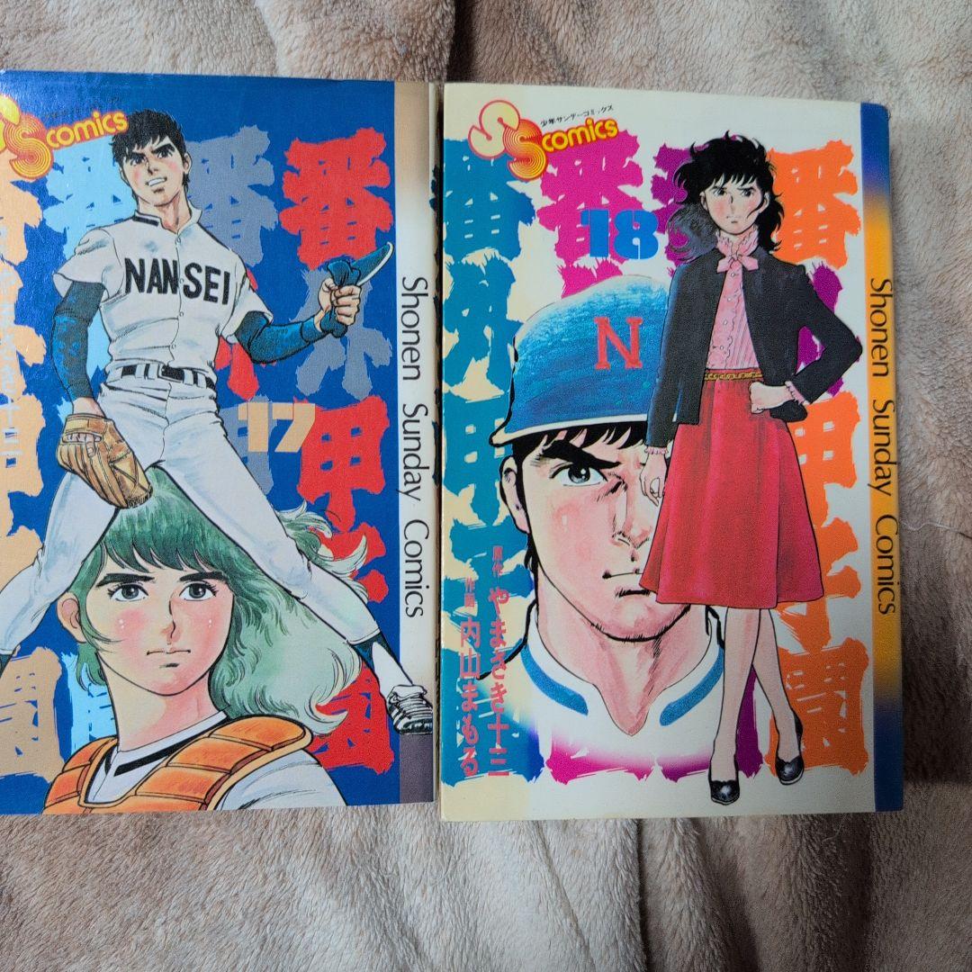 番外甲子園
