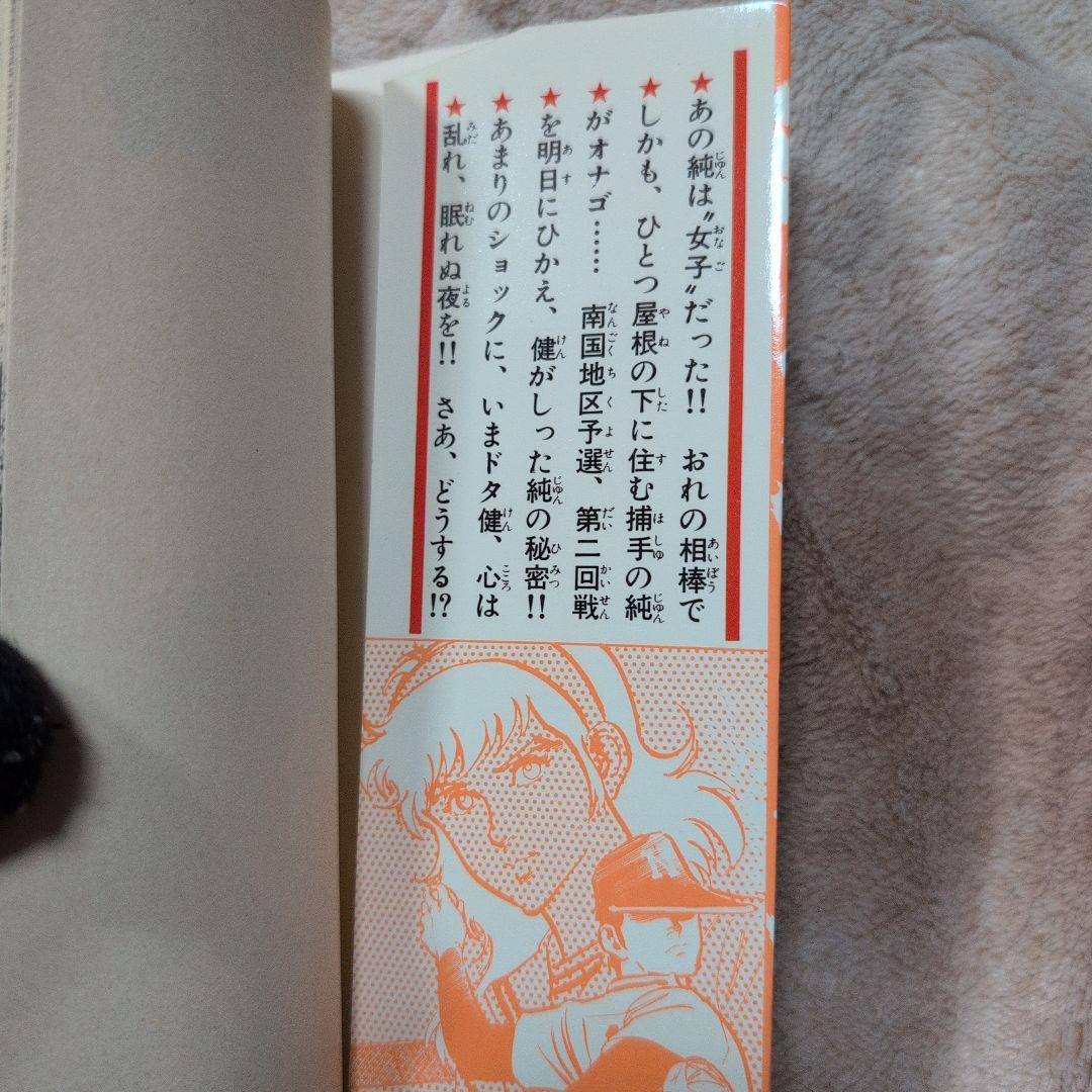 番外甲子園