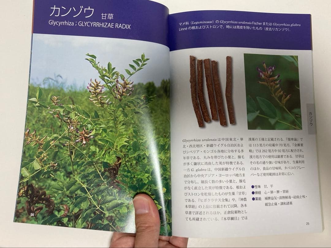 漢方薬・生薬 薬剤師講座テキストセット等