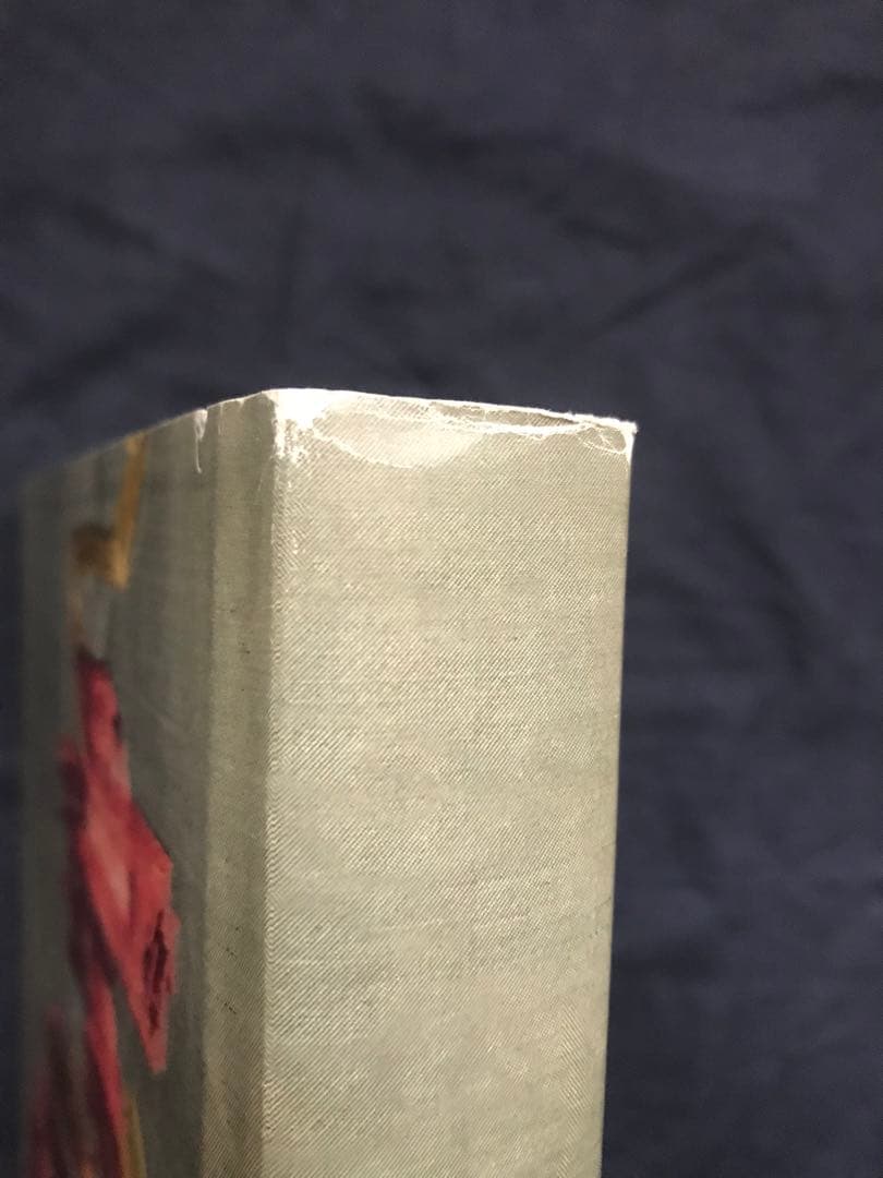 『DRIES VAN NOTEN 』’14年Lannoo刊　英語版　大型本