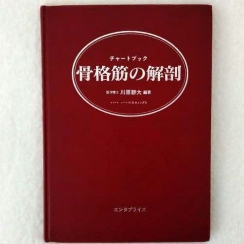 【良品・絶版】チャートブック／ 骨格筋の解剖 ／医学博士 川原群大 編著
