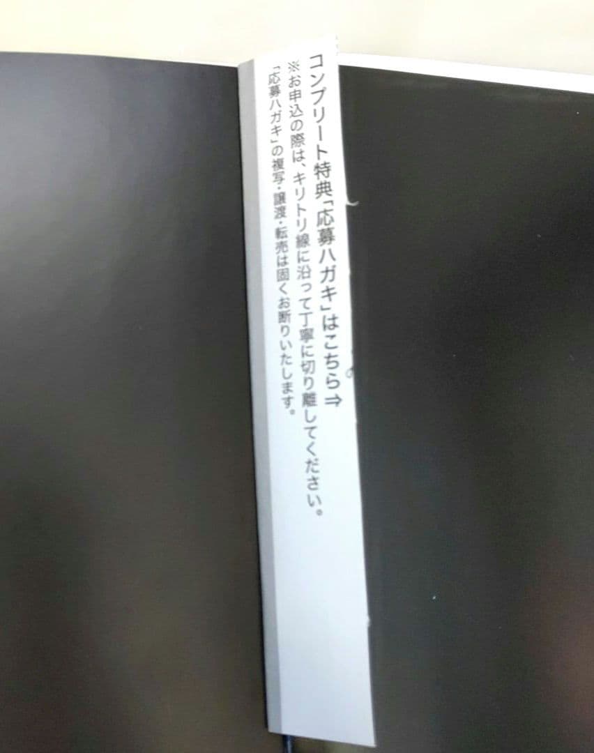アシッドブラックチェリー　　シャングリラ　写真集　セット