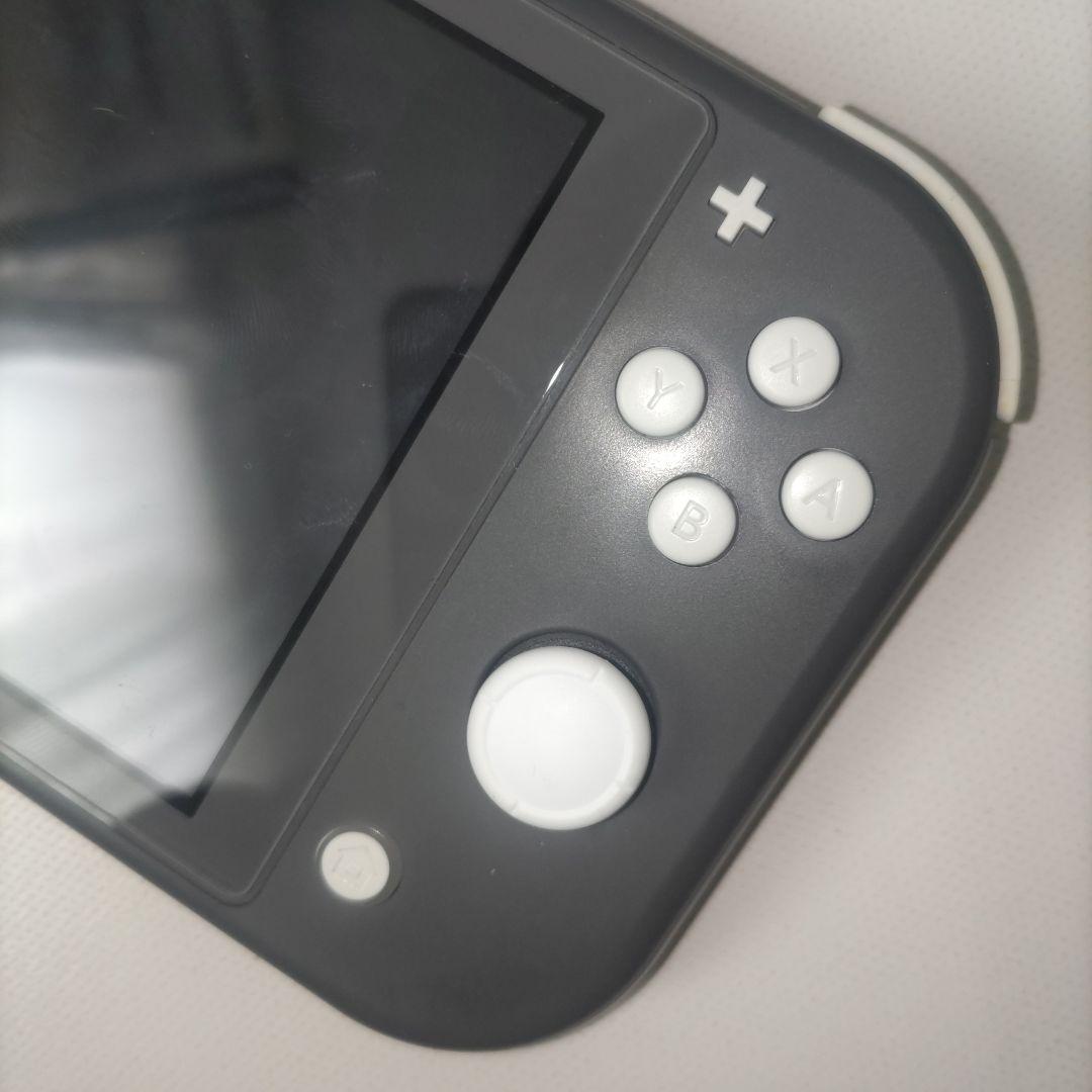 【良品】Nintendo Switch Lite 本体 GLAY