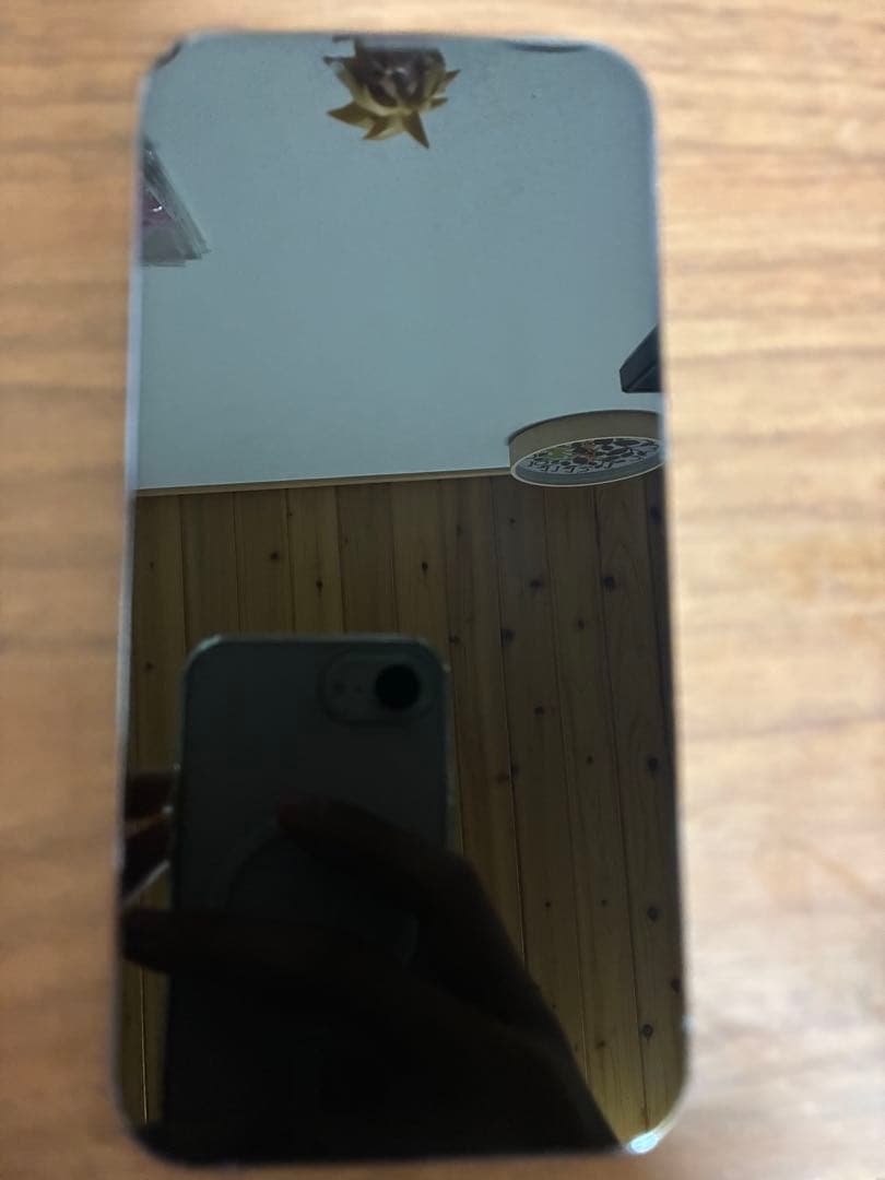 iPhone13promax 256GB シエラブルー
