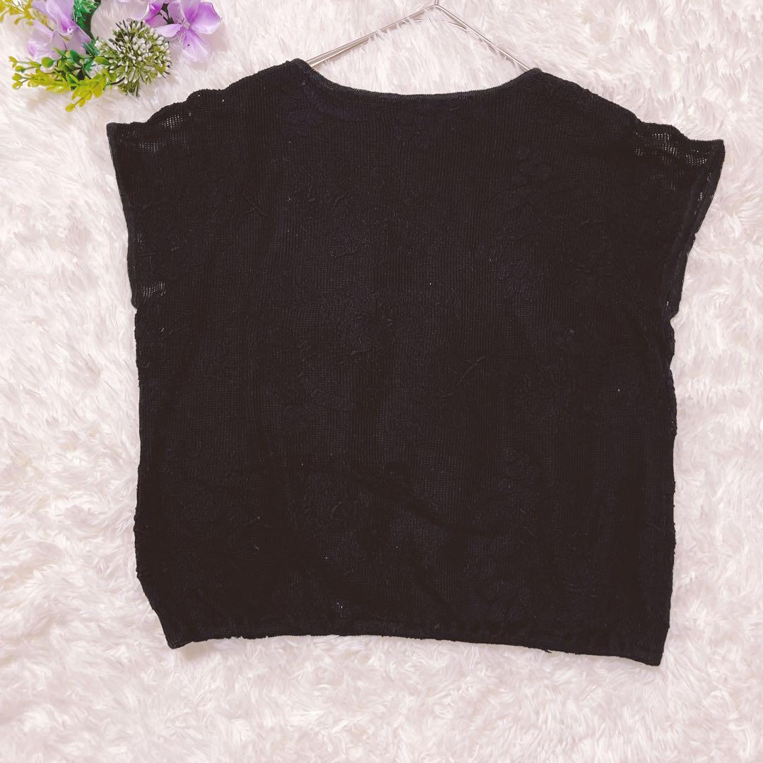 美品✨BEARDSLEY 刺繍レース Tシャツ切替トップス F 黒 体型カバー