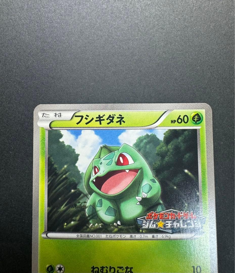 ポケモンカード　フシギダネ　124/BW-P プロモ　ジムチャレンジ