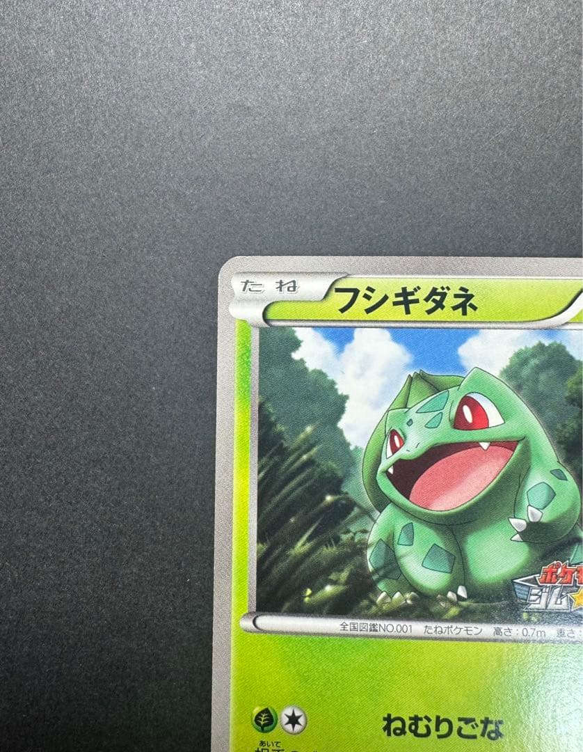 ポケモンカード　フシギダネ　124/BW-P プロモ　ジムチャレンジ