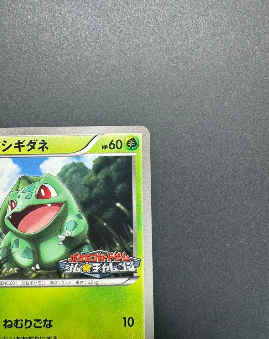 ポケモンカード　フシギダネ　124/BW-P プロモ　ジムチャレンジ