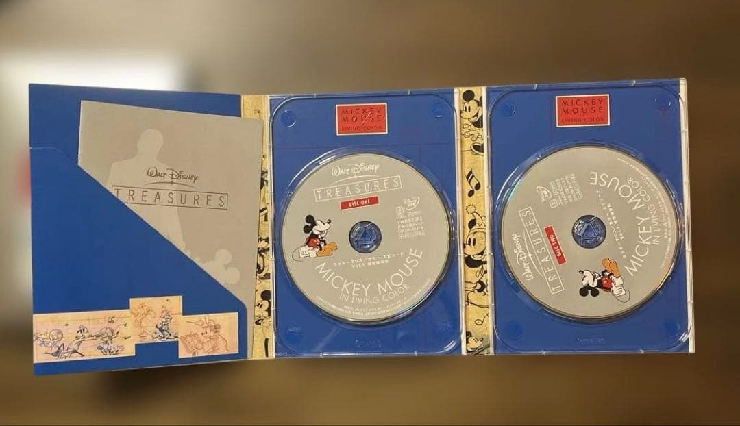 【シリアルナンバー入り】ディズニーストア ファビュラスイヤーズ DVD＆CD