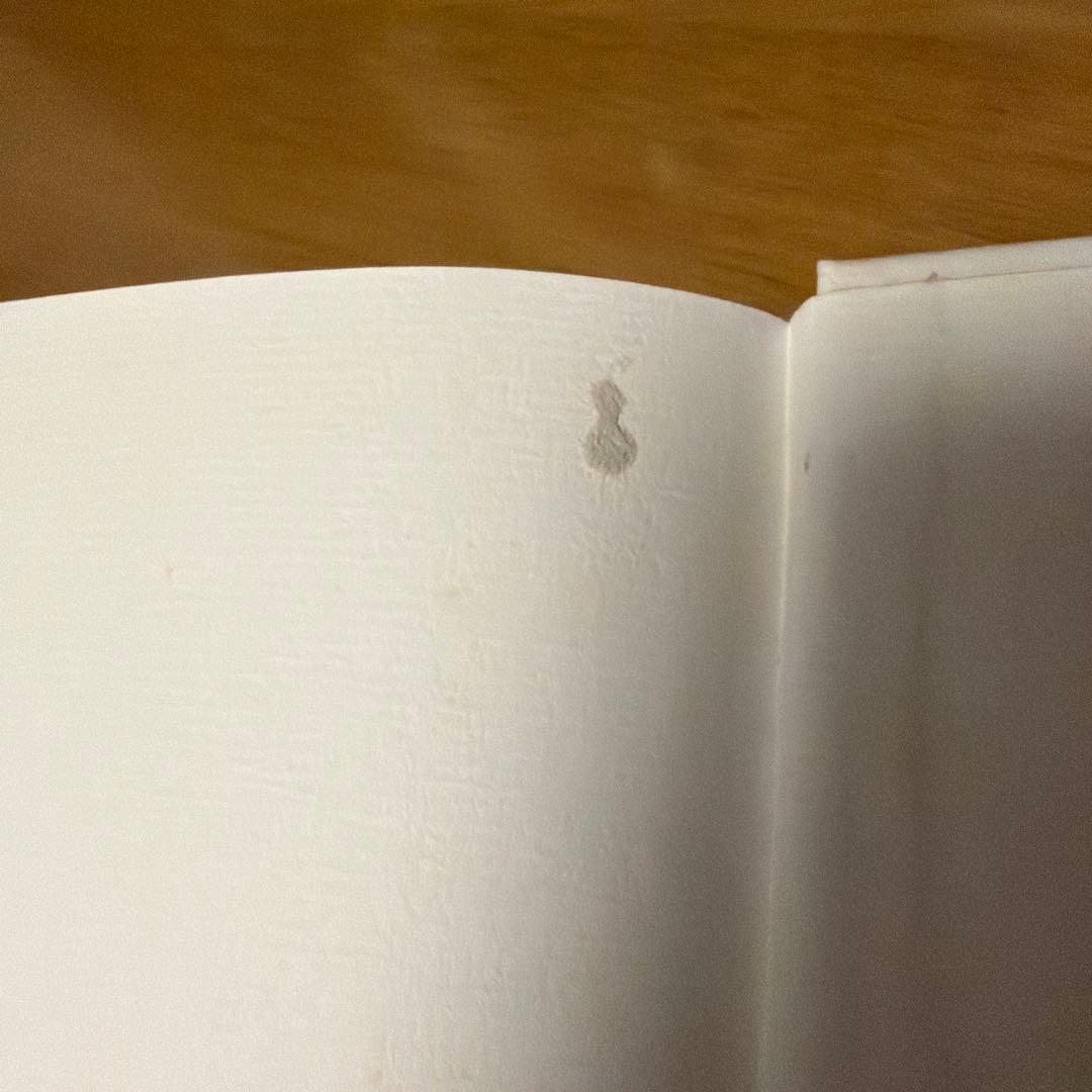 語学・辞書・学習参考書 Riemannian Geometry