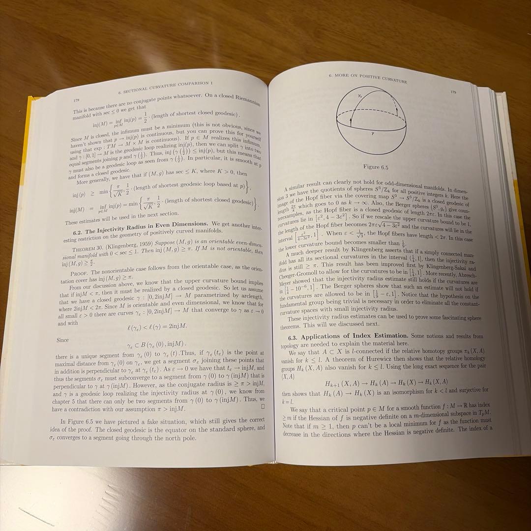 語学・辞書・学習参考書 Riemannian Geometry