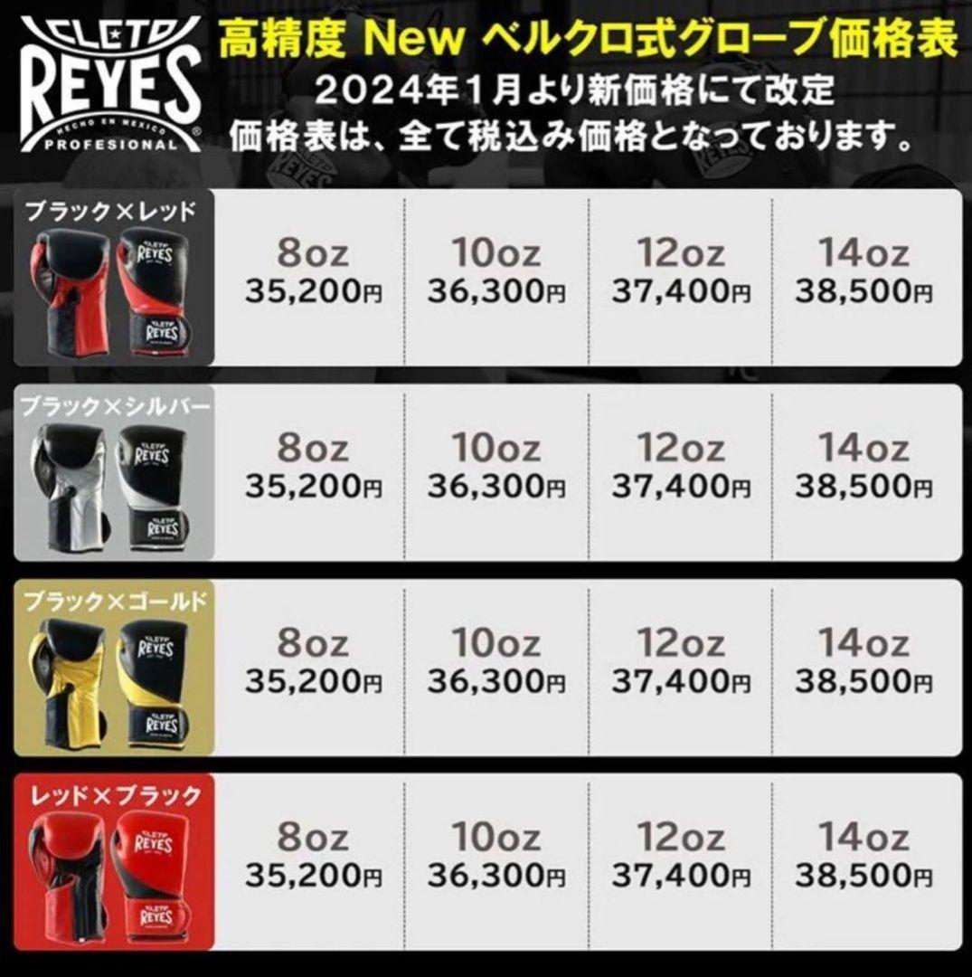 (ユウさん専用)レイジェス 14oz マジックテープ式 グローブ REYES