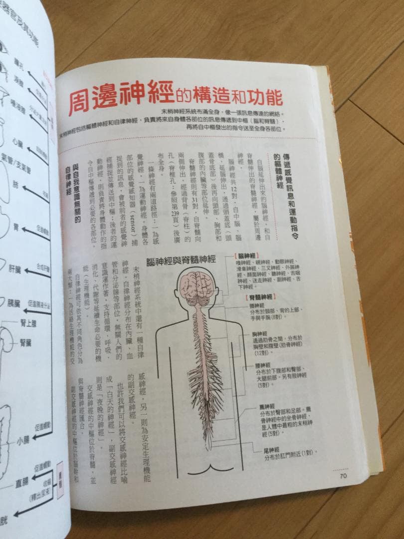 中国語・医学書・医療・医学・解剖・治療