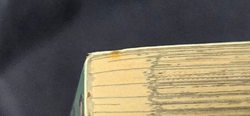 英語版SPY×FAMILY 全10巻セット