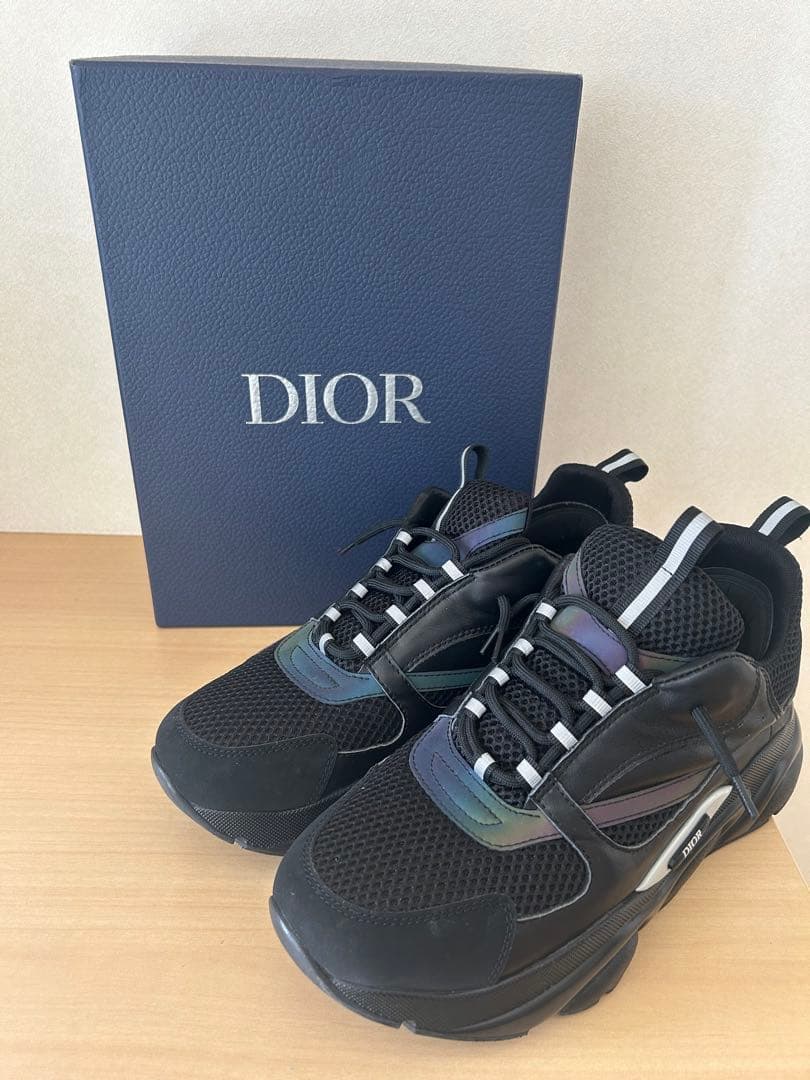 Dior B22 rainbow 超希少　42