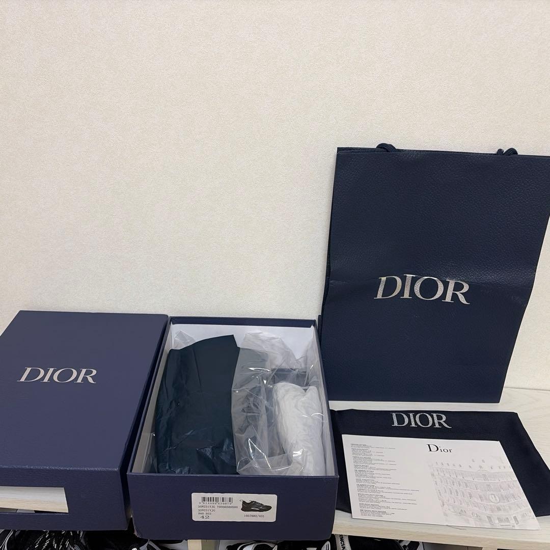 Dior B22 rainbow 超希少　42