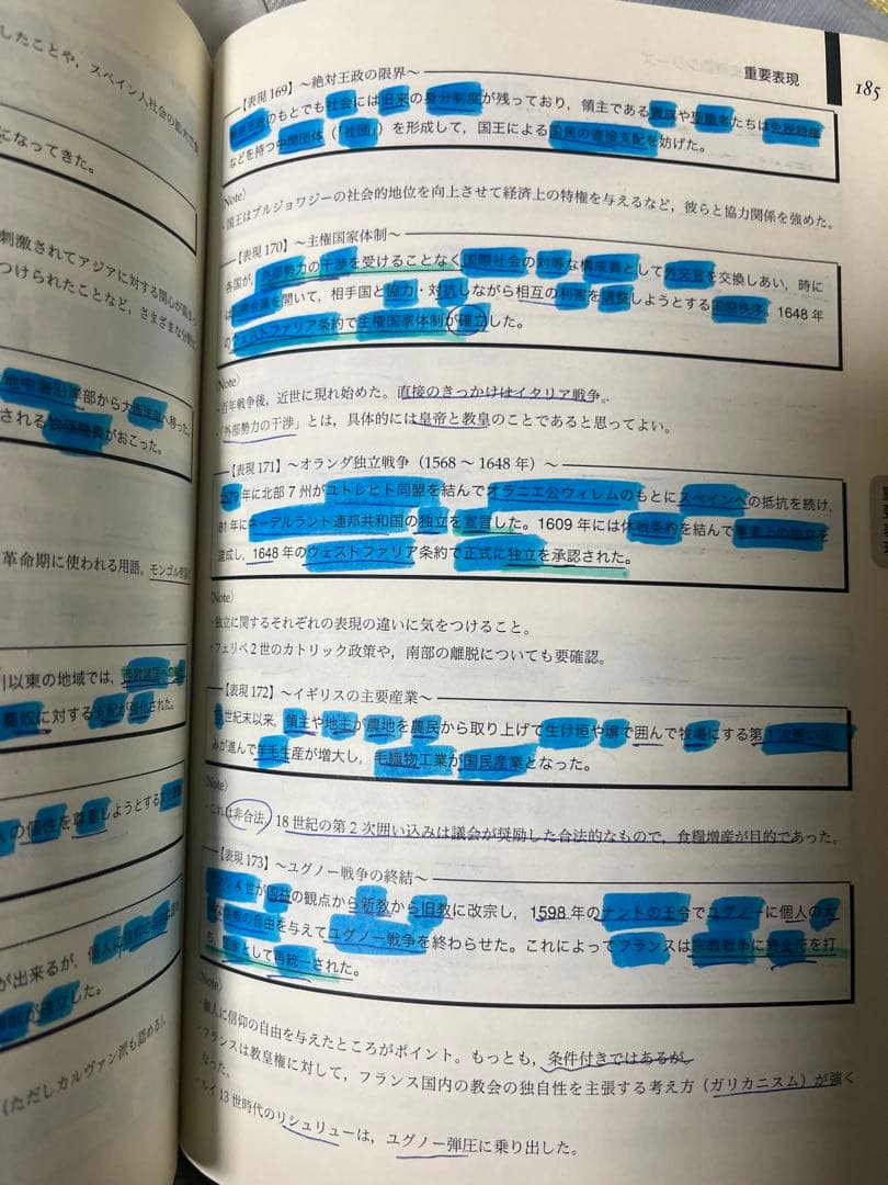 鉄緑会入試世界史確認シリーズ