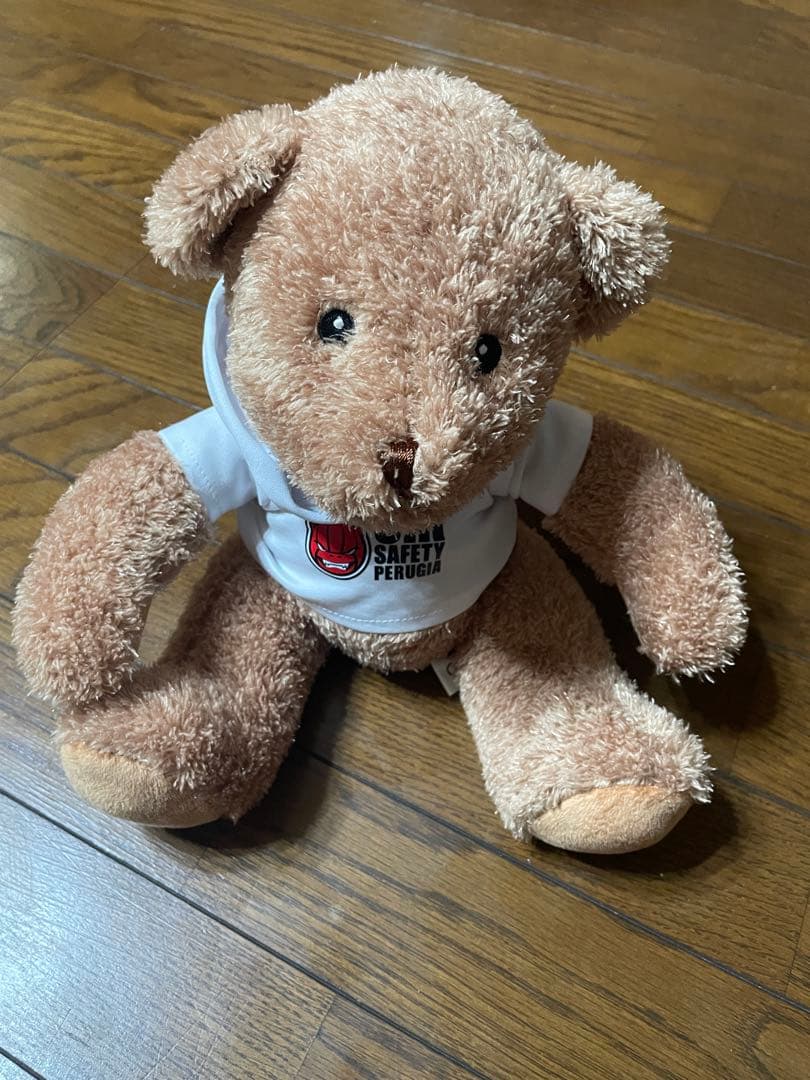 小*き様 石川祐希 ぬいぐるみ SIR BEAR ペルージャ