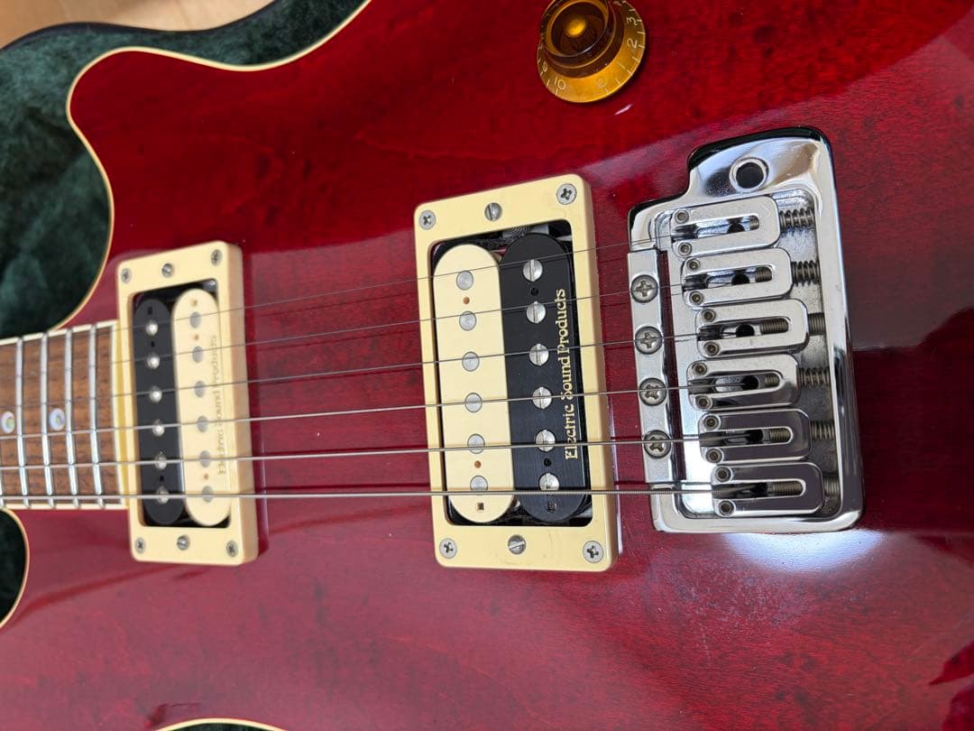 【希少、美品】ESP potbelly TR 専用ハードケース付き