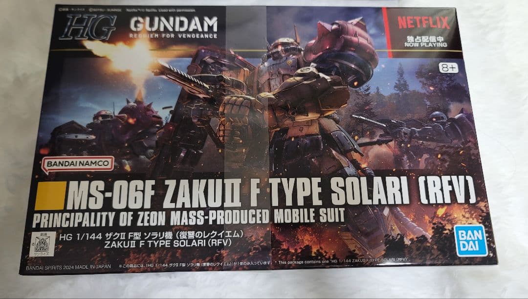 【新品未開封】HG ガンダムEX＆ザクII ソラリ機 2点