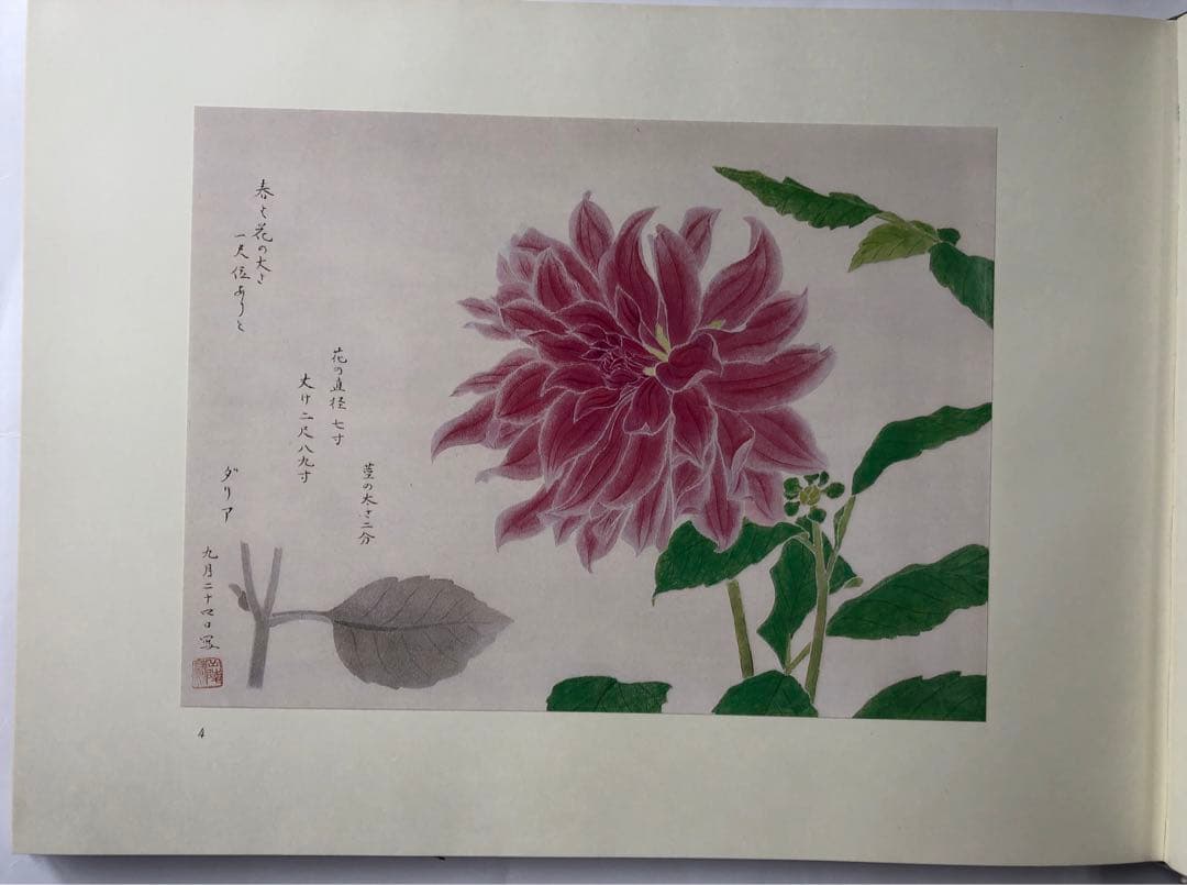 『傳神譜』中村岳陵　写生画集 4冊揃281点　四季の植物　風景　古美術　大型本