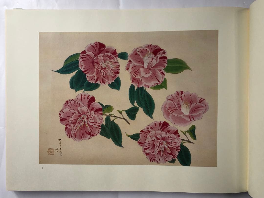『傳神譜』中村岳陵　写生画集 4冊揃281点　四季の植物　風景　古美術　大型本