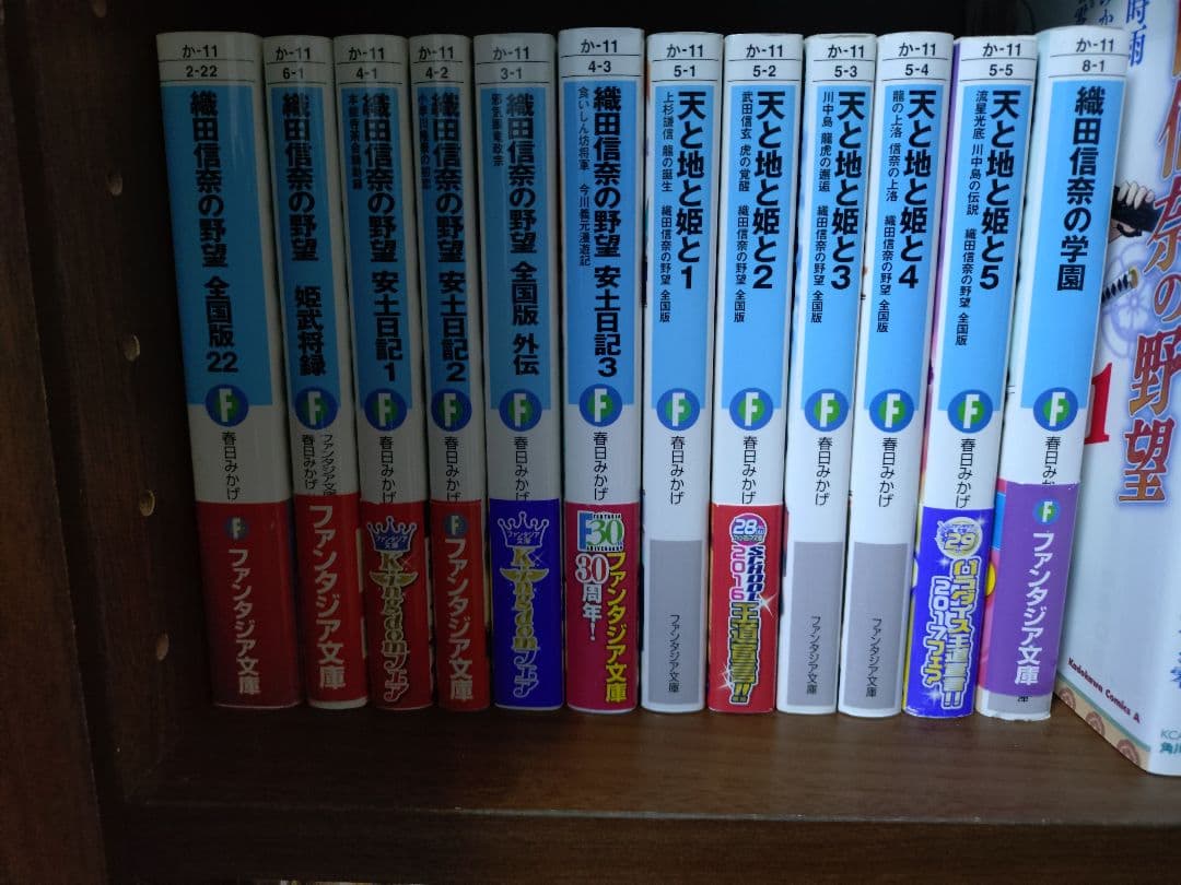 【ライトノベル】織田信奈の野望 ラノベ全22巻＋外伝＋漫画版 計41冊まとめ売り