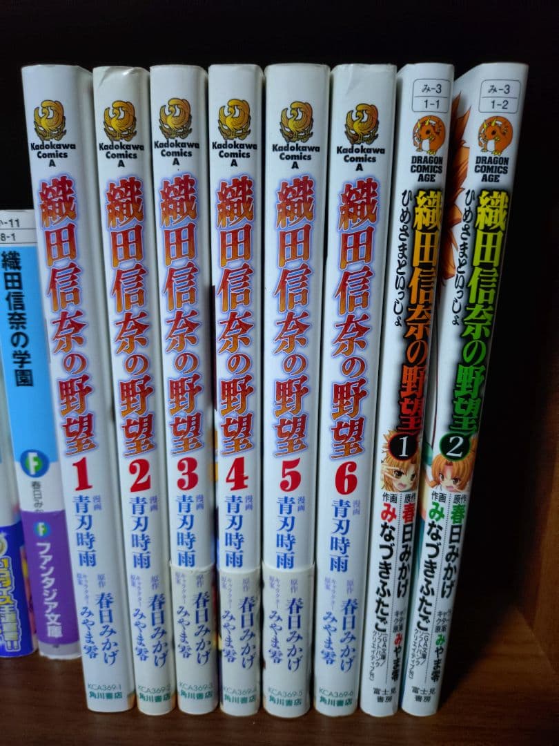 【ライトノベル】織田信奈の野望 ラノベ全22巻＋外伝＋漫画版 計41冊まとめ売り