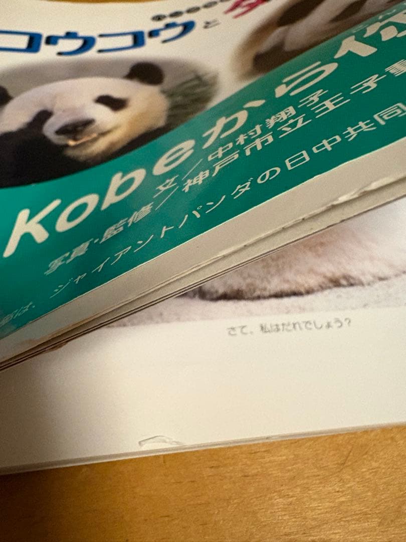 王子動物園　コウコウとタンタン パンダ　写真集
