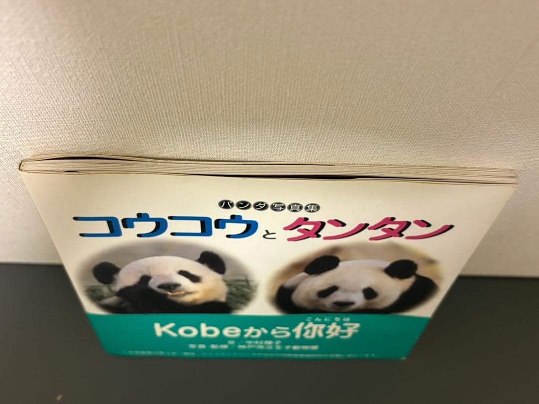 王子動物園　コウコウとタンタン パンダ　写真集