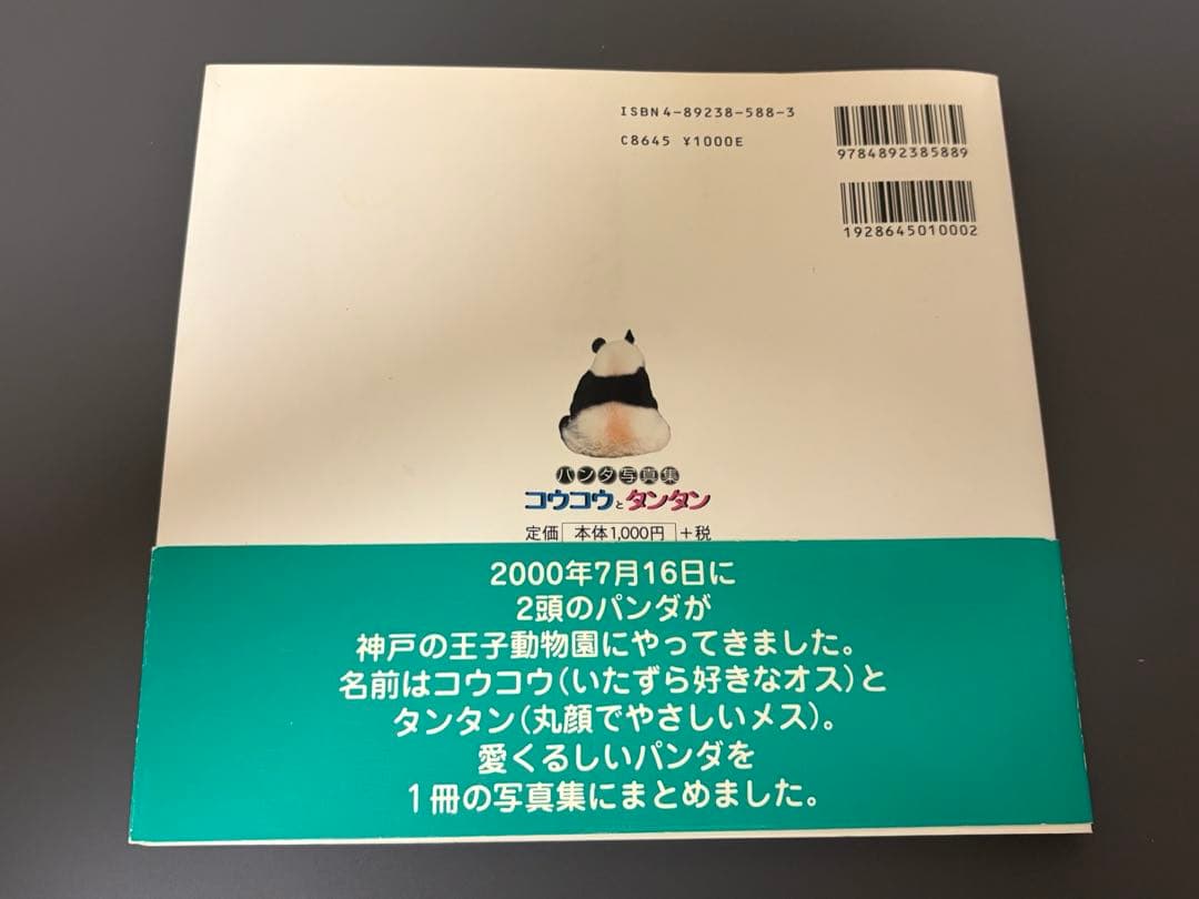王子動物園　コウコウとタンタン パンダ　写真集