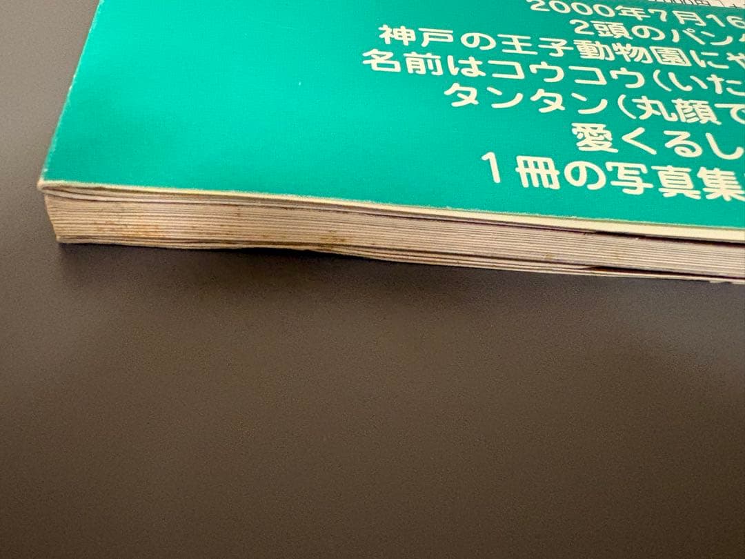 王子動物園　コウコウとタンタン パンダ　写真集