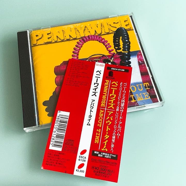 ペニーワイズ PENNYWISE CD 3枚 スケボーサウンド