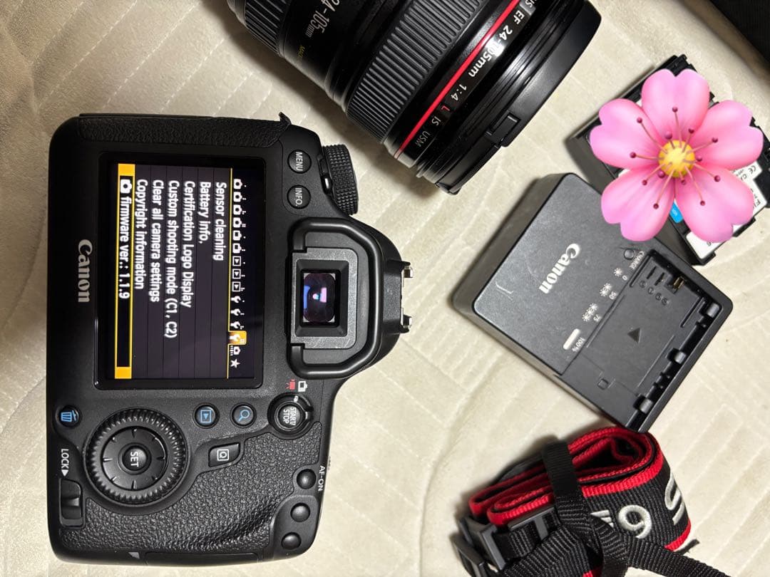 Canon EOS 6D + レンズキット SDカード付き