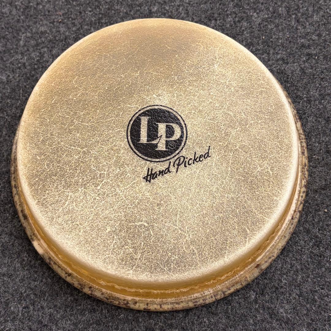 特価！ LP ボンゴ ヘッド 2枚セット